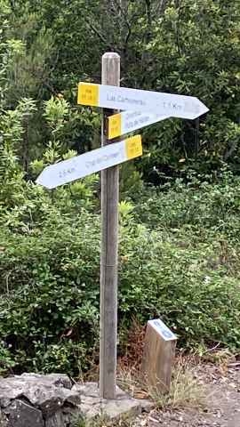 Wegweiser