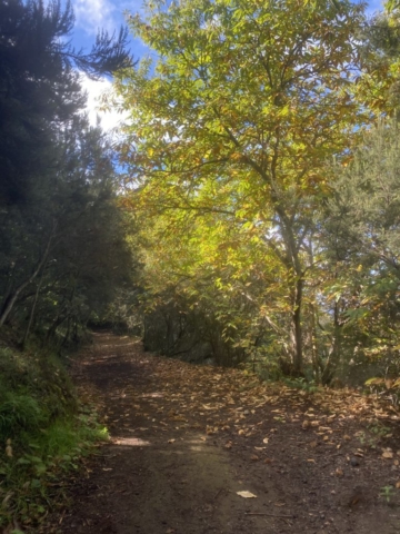 21 - das Ende des Kastanienweg