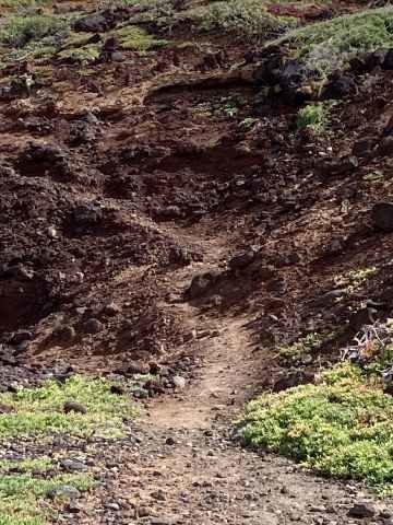 9 – der Weg nach oben