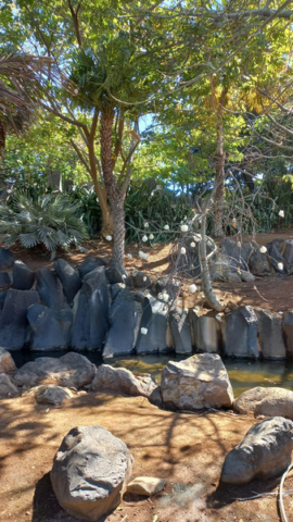 Palmetum Tenerife_12