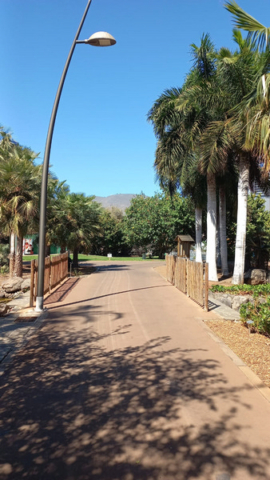 Palmetum Tenerife_15
