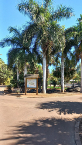 Palmetum Tenerife_2