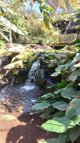 Palmetum Tenerife_21