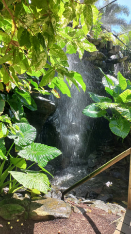 Palmetum Tenerife_25