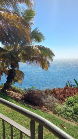 Palmetum Tenerife_31