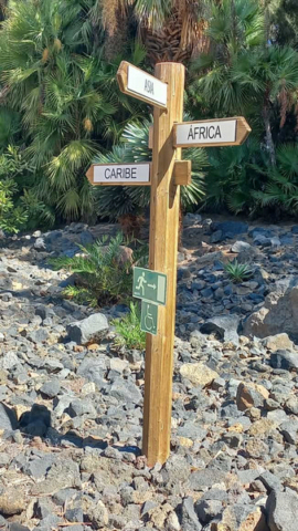 Palmetum Tenerife_32