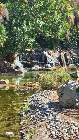 Palmetum Tenerife_34