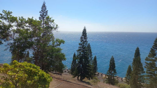 Palmetum Tenerife_38