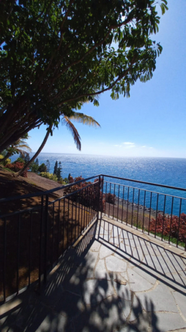 Palmetum Tenerife_39