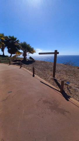 Palmetum Tenerife_44