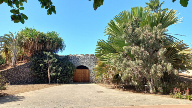 Palmetum Tenerife_5