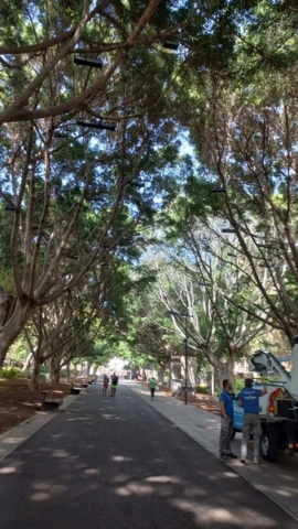 Parque García Sanabria_15