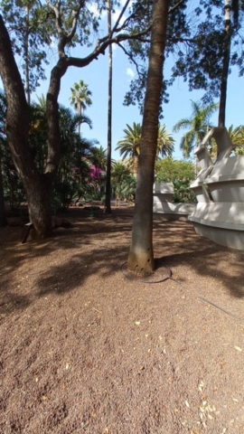 Parque García Sanabria_16