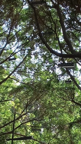 Parque García Sanabria_17