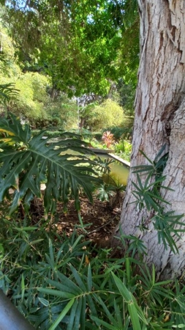 Parque García Sanabria_18