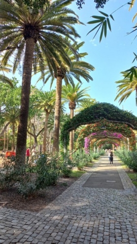 Parque García Sanabria_22