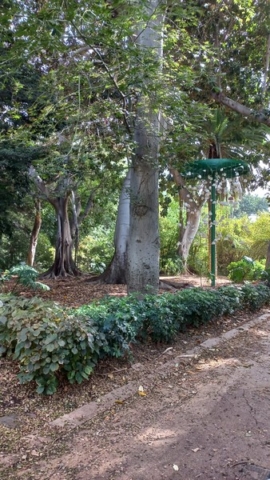 Parque García Sanabria_28
