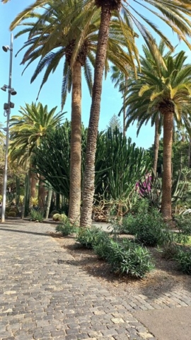 Parque García Sanabria_31