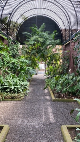 JardinBotanico_JN_10