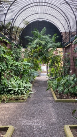JardinBotanico_JN_11