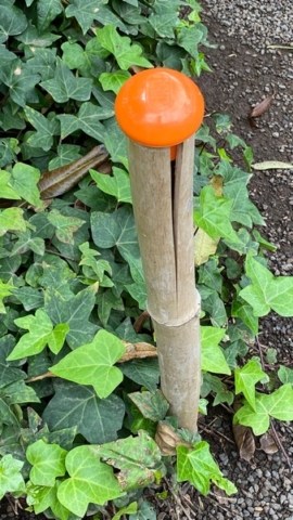 JardinBotanico_JN_14