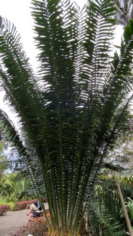 JardinBotanico_JN_22