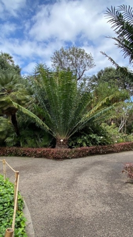 JardinBotanico_JN_23