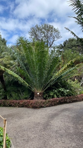 JardinBotanico_JN_24