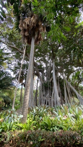 JardinBotanico_JN_45