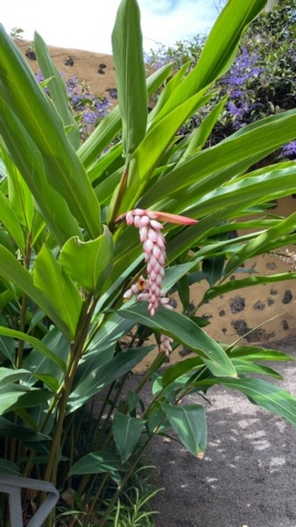 JardinBotanico_JN_47