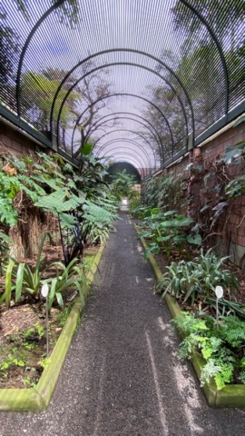 JardinBotanico_JN_6