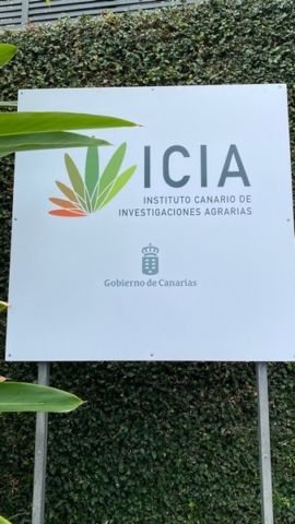 JardinBotanico_JN_61