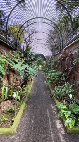 JardinBotanico_JN_7