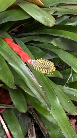 JardinBotanico_JT