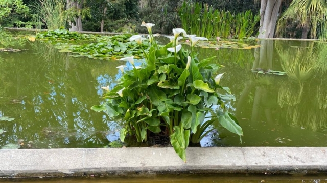 JardinBotanico_JT_13