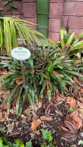 JardinBotanico_JT_14