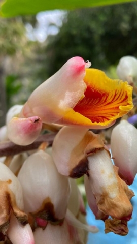 JardinBotanico_JT_21