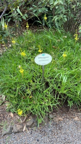 JardinBotanico_JT_31