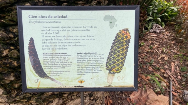 JardinBotanico_JT_41