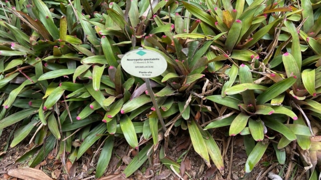 JardinBotanico_JT_44