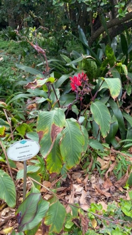 JardinBotanico_JT_6