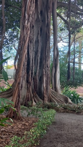 JardinBotanico_TG_14