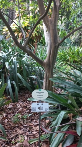 JardinBotanico_TG_15