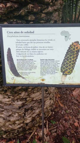 JardinBotanico_TG_27