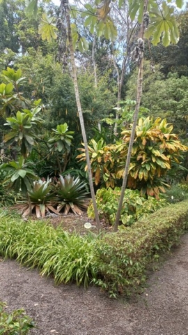 JardinBotanico_TG_28