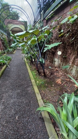 JardinBotanico_TG_29