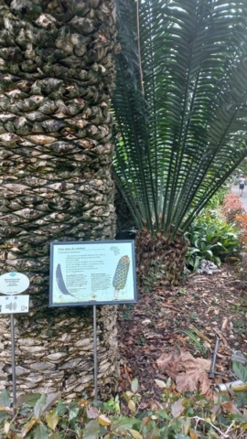JardinBotanico_TG_32