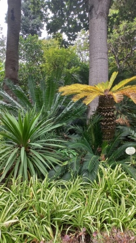 JardinBotanico_TG_33