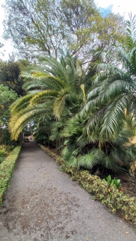 JardinBotanico_TG_38
