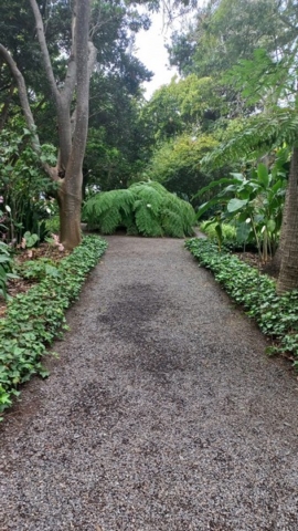 JardinBotanico_TG_41